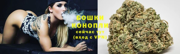 дживик Богородск