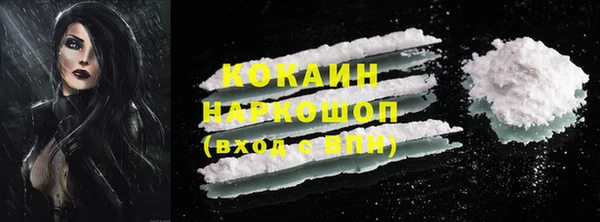 винт Богданович