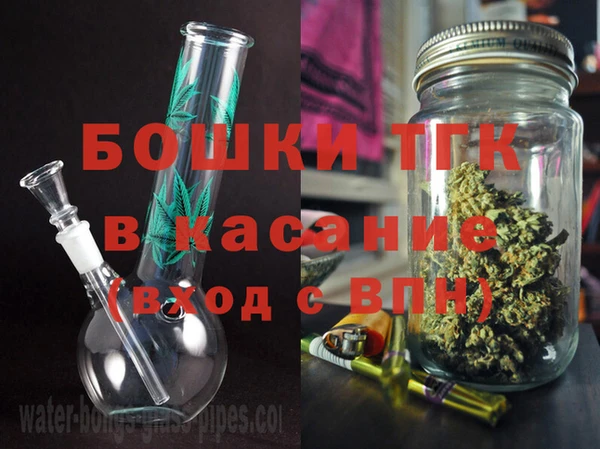 дживик Богородск