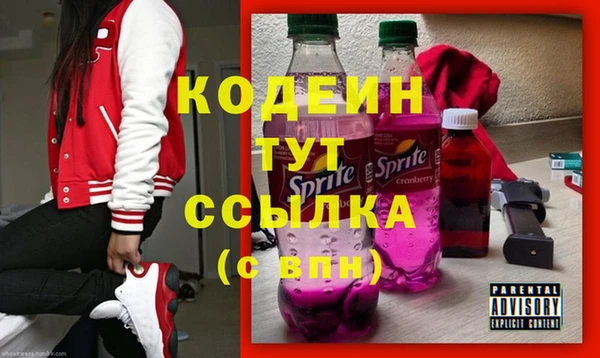дживик Богородск