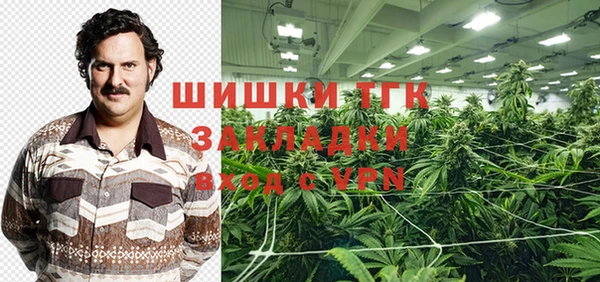 соль ск Богородицк