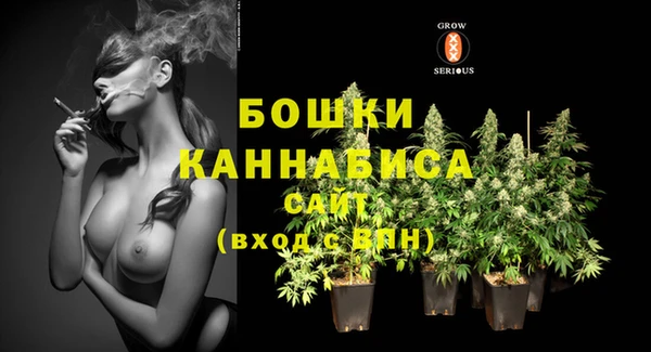 сатива Белокуриха