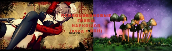 хмурый Белоозёрский