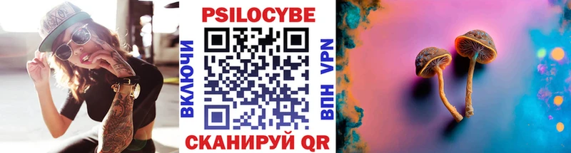 купить наркотик Озёрск ссылка на мегу как войти Галлюциногенные грибы Psilocybine cubensis
